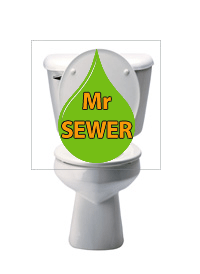 Mr. Sewer image