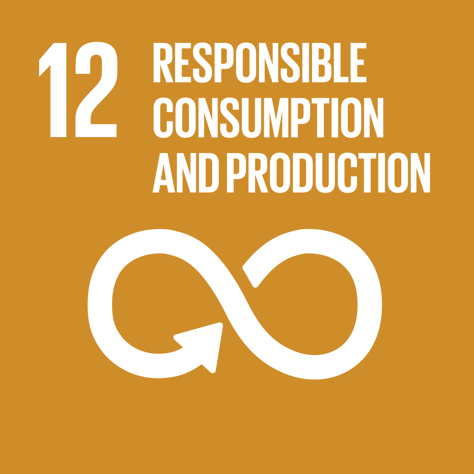sustainable development goal number 12 icon 