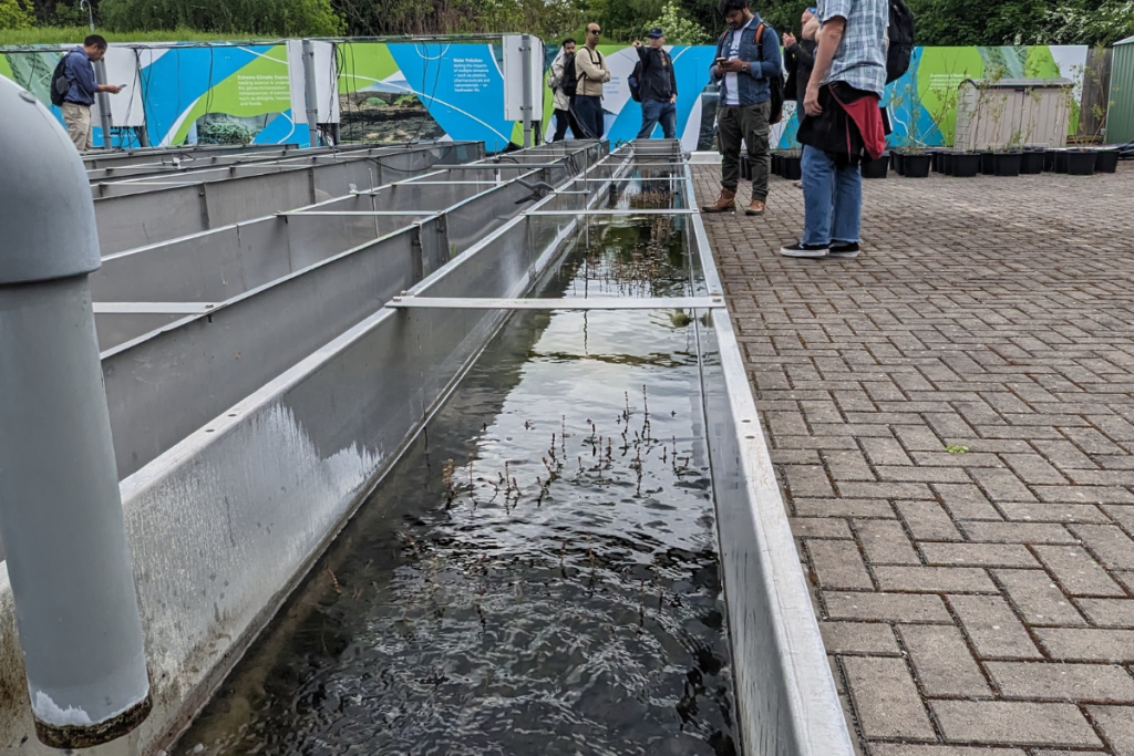 EcoLab includes a series of flumes that facilitate studies on the interaction between water, soils, plants, and other contaminants. 