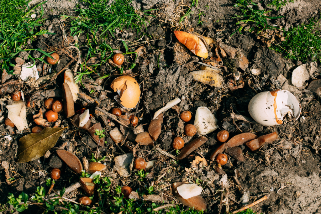 Compost from spilled food waste on the ground. Image source: Grisha Bruev/Canva